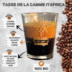 ITAFRICA DEMONSTRATION