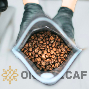 organicaf grains de café naturel, torrefaction artisanale sur fes maroc