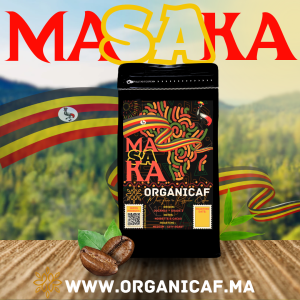 MASAKA _ROBUSTA PREMIUM OUGANDA BY ORGANICAF, TORREFACTION MEDIUM PUREMENT ARTISANALE POUR LES HOME BARISTA ET HAUT DEGUSTATEUR DU CAFE