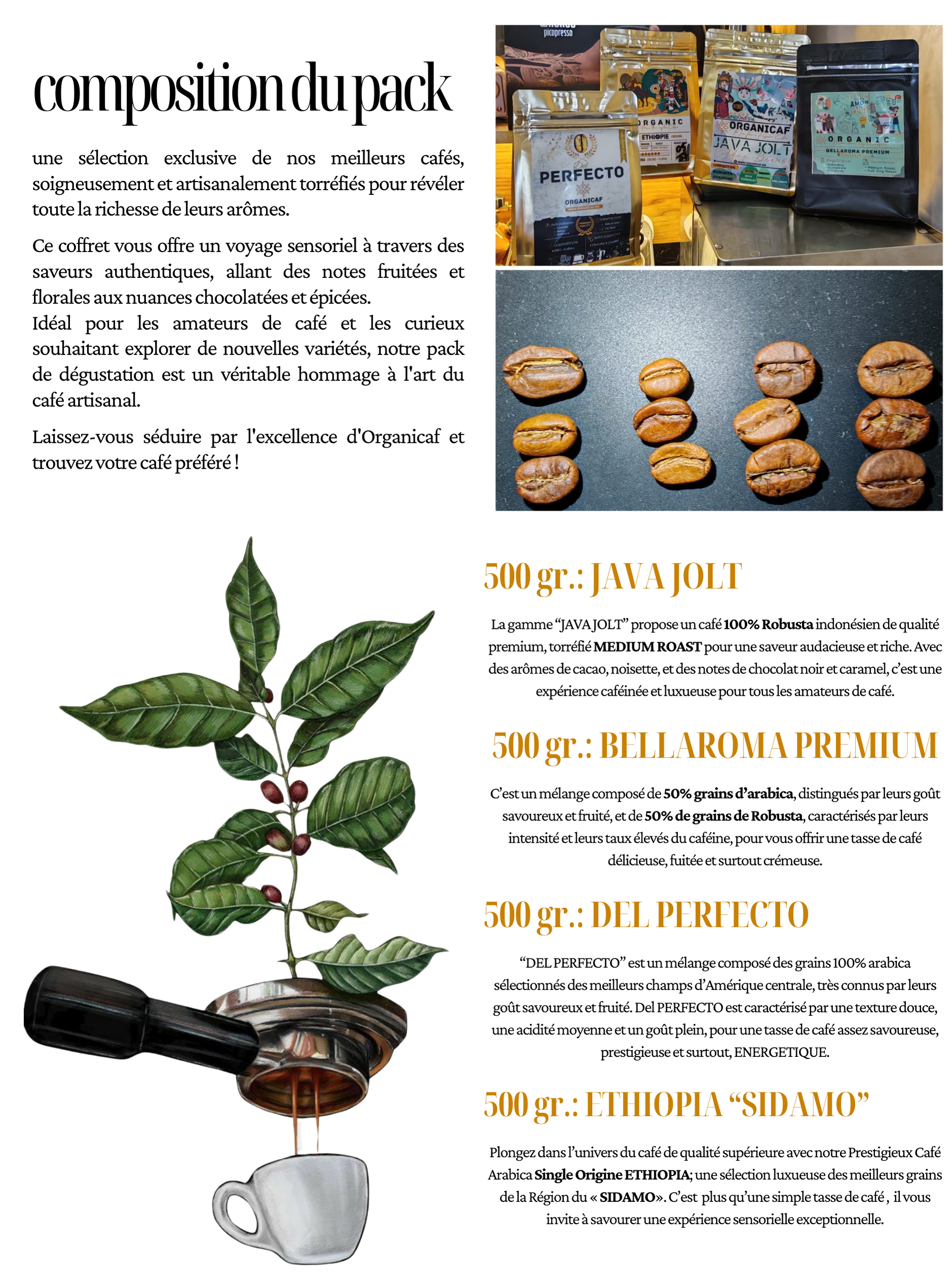 pack degustation by organicaf leadeer de la torréfaction artisanale au maroc spécialement a fes t fournisseur de gros et en détail du café et coffee shop, café en blend, café de haute gamme, café de qualité et café de spécialité